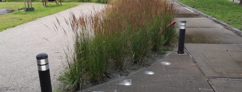 Infra Campus Harderwijk